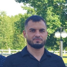 Mykhailo Kulyk - Wycinanie Drzew Odolan&oacute;w