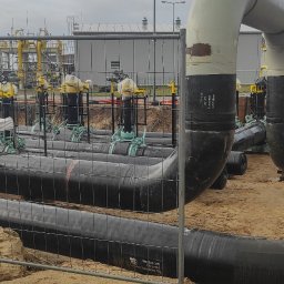 Wycinka drzew Odolanów 1