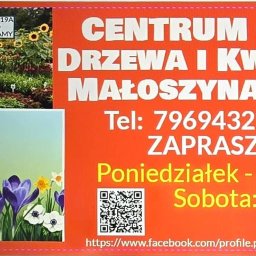Drzewa i kwiatki u Beatki centrum ogrodnicze i usługowe - Sprzątanie Małoszyna