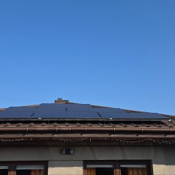 Drzewa i kwiatki u Beatki centrum ogrodnicze i usługowe - czyszczenie rynien elewacji fotowoltaiki