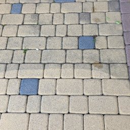 Drzewa i kwiatki u Beatki centrum ogrodnicze i usługowe - czyszczenie kostki brukowej płotów impregnacja