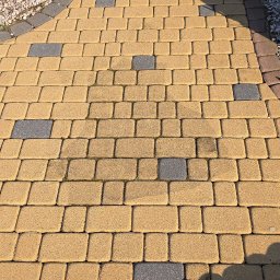 Drzewa i kwiatki u Beatki centrum ogrodnicze i usługowe - efekt przed ukonczeniem czyszczenia i przed impregnacją