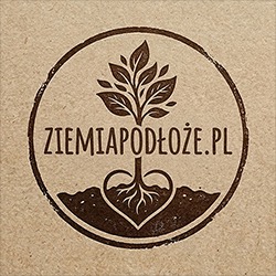 Ziemia Podłoże