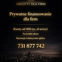 Finansowanie dla firm pod zastaw nieruchomości z karencją i spłatą kapitału na koniec - Kredyt Bez BIK Gdańsk