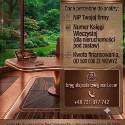 Kredyt dla firm - avatar