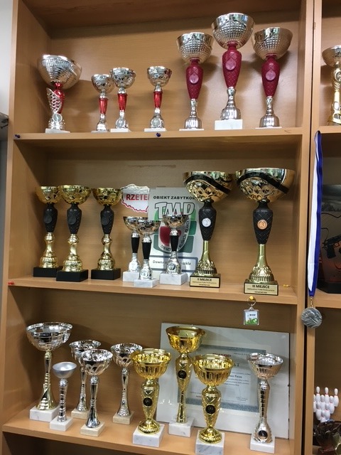 Półki z trofeami sportowymi: złote, srebrne i czerwone puchary różnej wielkości, ustawione na drewnianych półkach. Widoczne detale i napisy na niektórych trofeach.