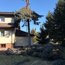 Przycinanie drzew Radzyń Podlaski 1