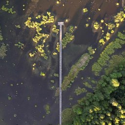 Montaż filmów Borówiec 2