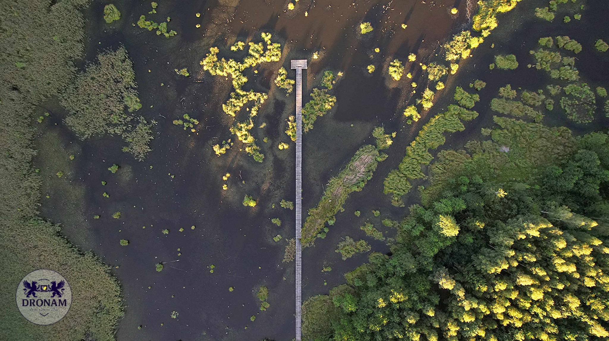 Widok z drona na długi, drewniany pomost przecinający ciemną wodę jeziora porośniętego roślinnością. Światło słoneczne podkreśla zieleń i tworzy kontrast z wodą.