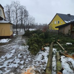 Przedsiębiorstwo Usługowo Handlowe Jarosław Klisowski - Świeżo ścięte gałęzie i pnie drzew leżą na ziemi pokrytej śniegiem, w tle widoczne budynki mieszkalne i nagie drzewa. Wióry drzewne rozsypane na śniegu.