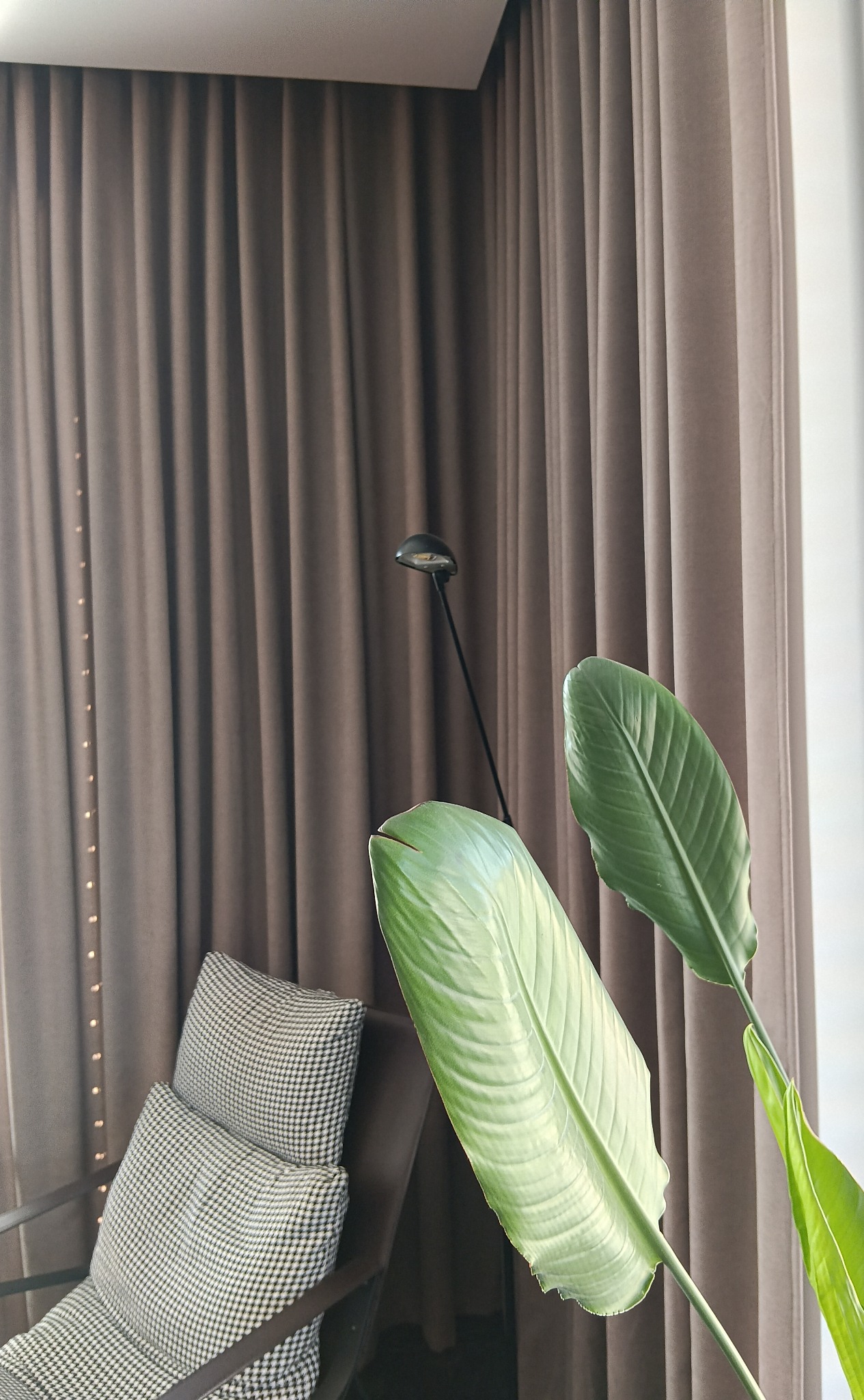 Brązowe, gładkie zasłony w salonie, oświetlone lampą punktową. W tle widoczny fotel z poduszkami w pepitkę i zielona roślina. Dekoracja okna.