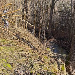 Niwelacja terenu Stronie Śląskie 3