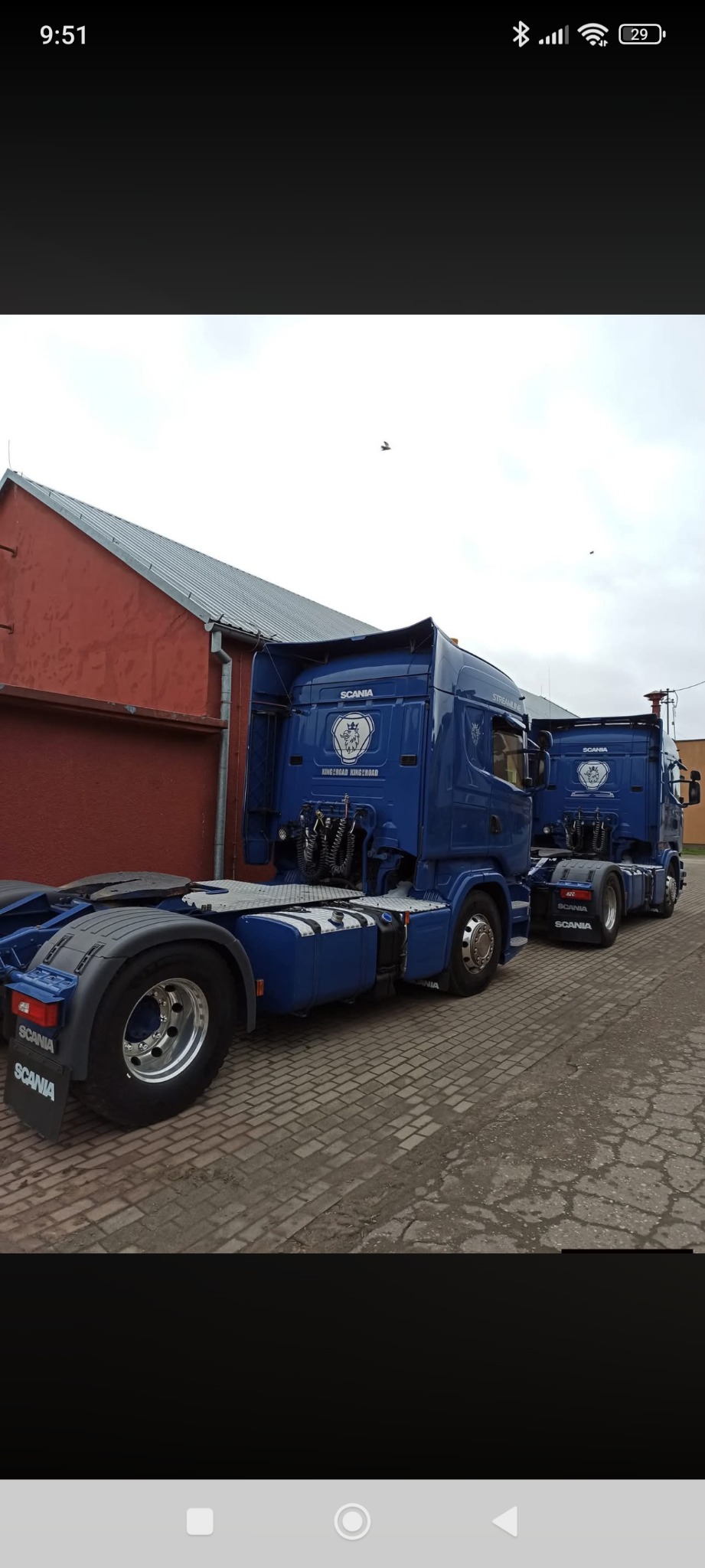 Dwa niebieskie ciągniki siodłowe Scania zaparkowane na brukowanej nawierzchni, widok z tyłu, z budynkiem w tle. Logo Scania widoczne na błotnikach i kabinach.