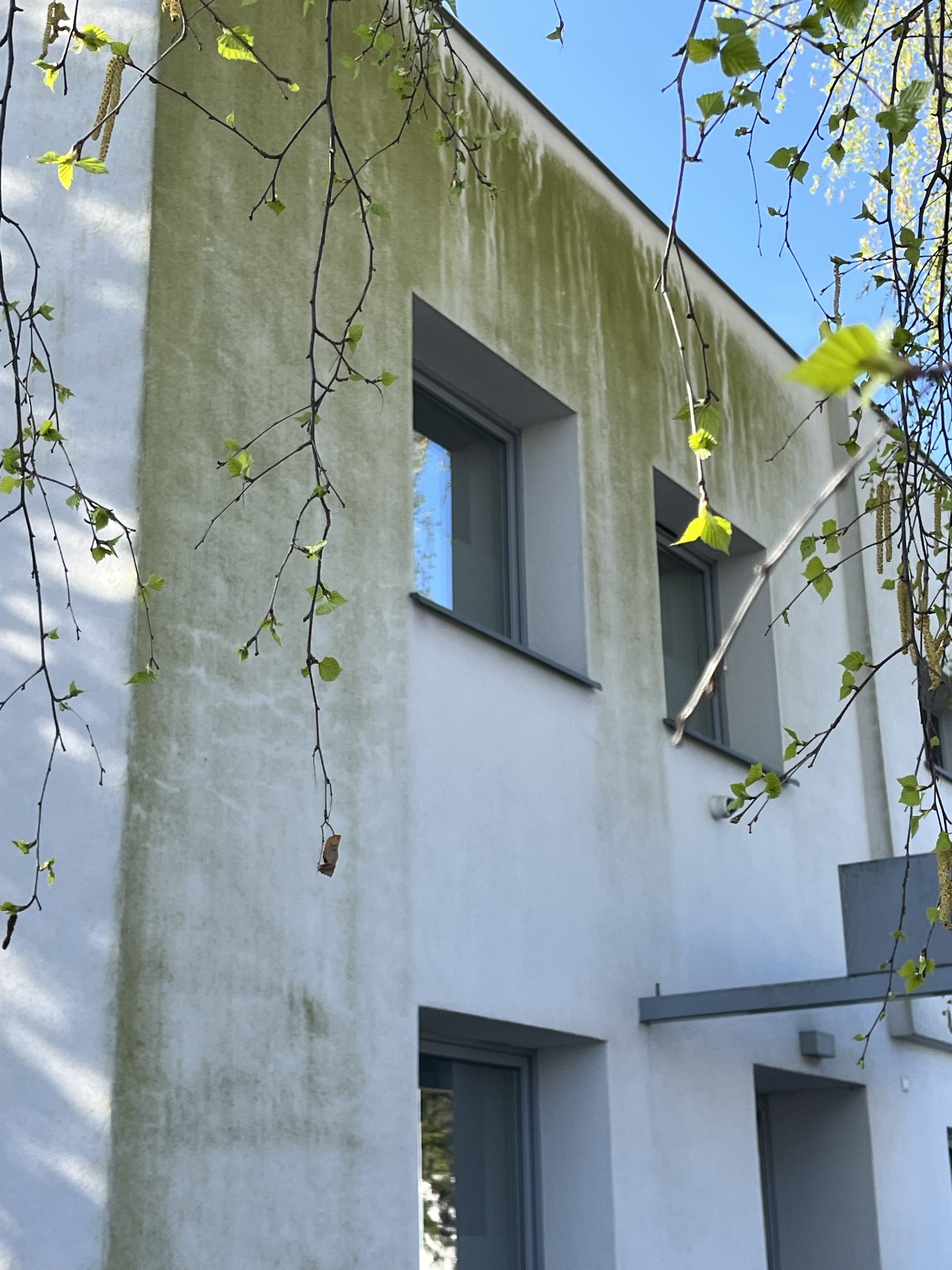 Silne zabrudzenia - było trochę z nimi pracy, ale własny patent jak zwykle poskutkował.....