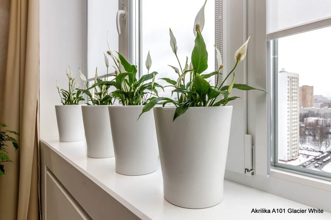 Cztery białe donice z zielonymi roślinami na białym parapecie okiennym, z widokiem na miasto w tle. Minimalistyczny design, jasne wnętrze, naturalne światło.