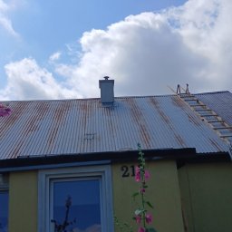 Wycinka drzew Nowe Brzesko 3