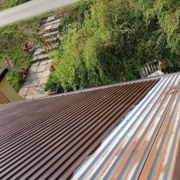 Wycinka drzew Nowe Brzesko 1