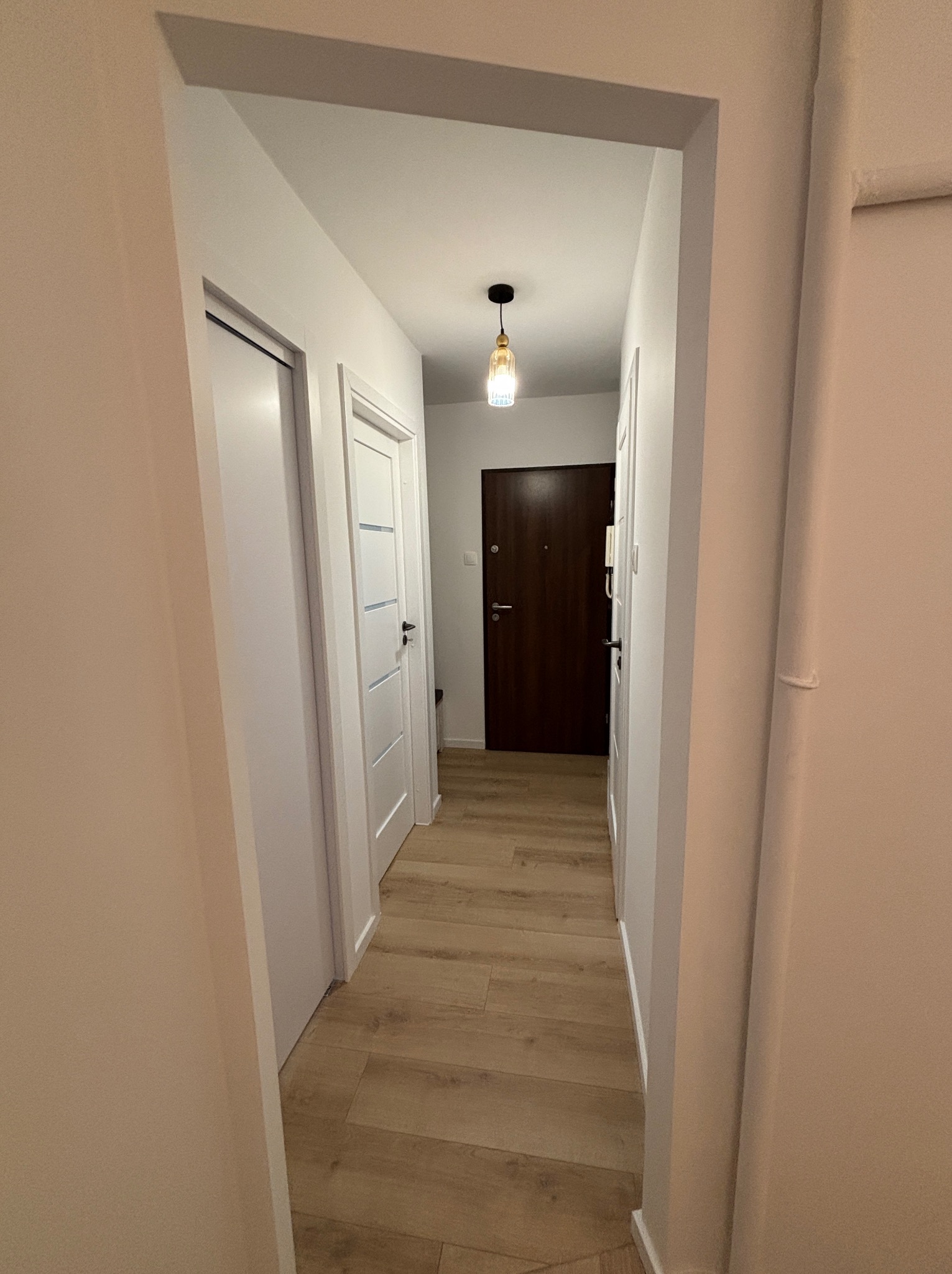 Jasny korytarz z drewnopodobną podłogą i białymi drzwiami. W tle widoczna ciemna, drewniana brama wejściowa i designerska lampa sufitowa. Minimalistyczny wystrój.