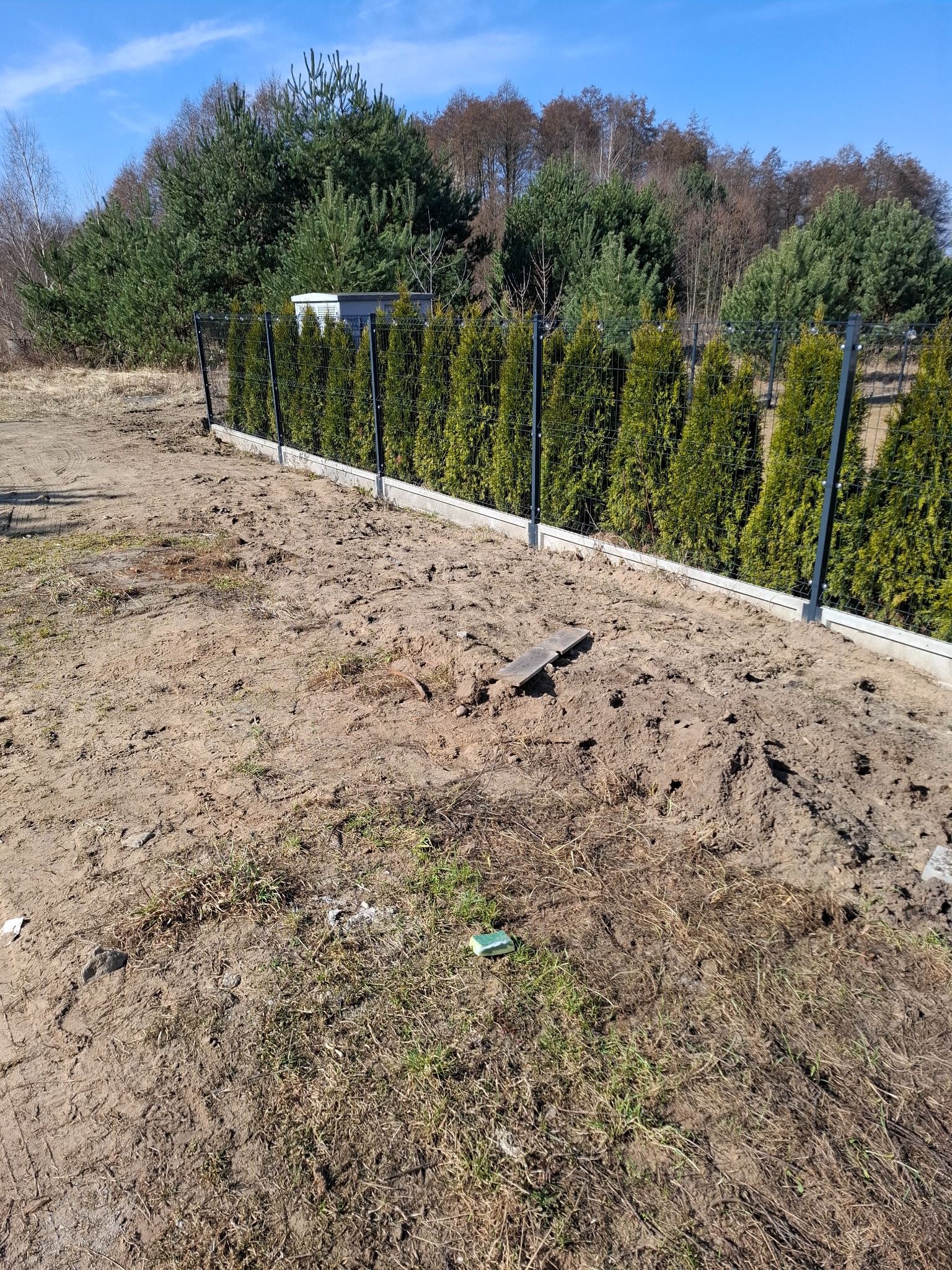 Nowoczesne ogrodzenie panelowe z podmurówką betonową, widok z zewnątrz na tle zielonych tuj i drzew. Teren wokół ogrodzenia częściowo przygotowany pod dalsze prace.