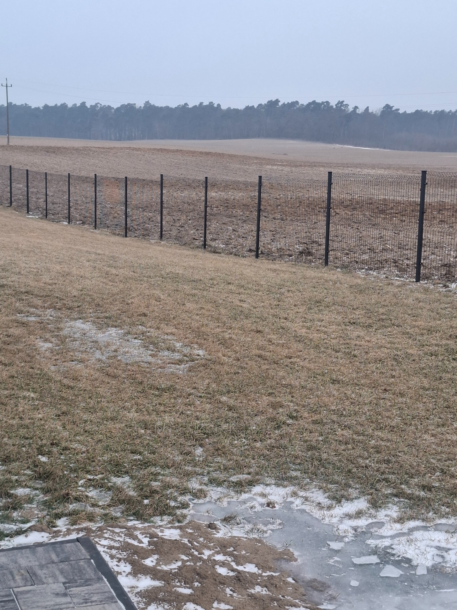 Długi, czarny, metalowy płot panelowy na granicy działki z widokiem na pole i las w tle. Ziemia pokryta resztkami śniegu i lodu. Ujęcie w pochmurny dzień.