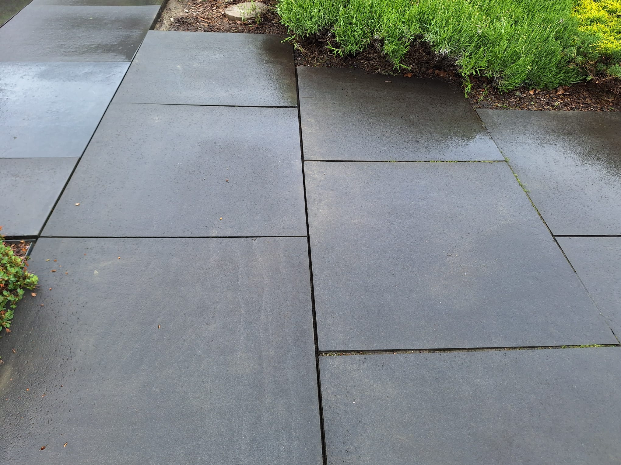 Ułożone, ciemnoszare płyty tarasowe z widocznymi kroplami deszczu, przylegające do zieleni. Minimalistyczny design tarasu.