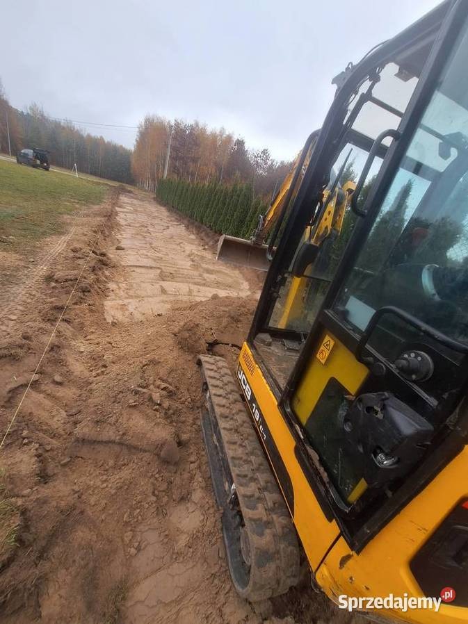Żółta koparka JCB 19C-1 w trakcie prac ziemnych, widoczny wykop wzdłuż żywopłotu. Ślady opon na ziemi, pochmurne niebo w tle. Prace przygotowawcze pod inwestycję.