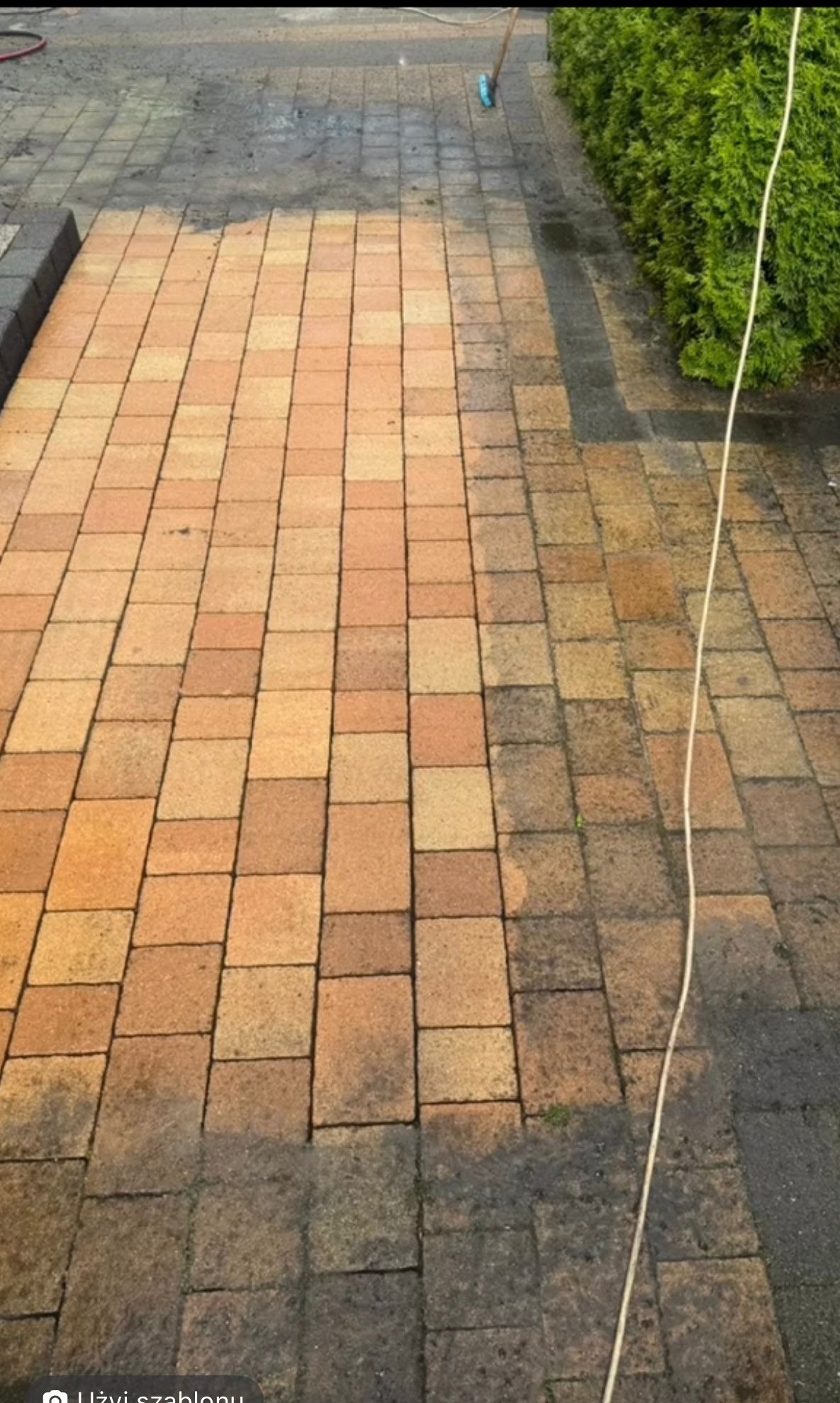 A co myślisz o tym żółta i nic nie widać a co powiesz o tym