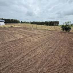 Iskra System Bartłomiej Kiedrzynek - Przygotowany teren pod przyszły ogród z młodymi drzewkami wzdłuż ogrodzenia z siatki. Widoczne ślady po maszynach rolniczych na ziemi.