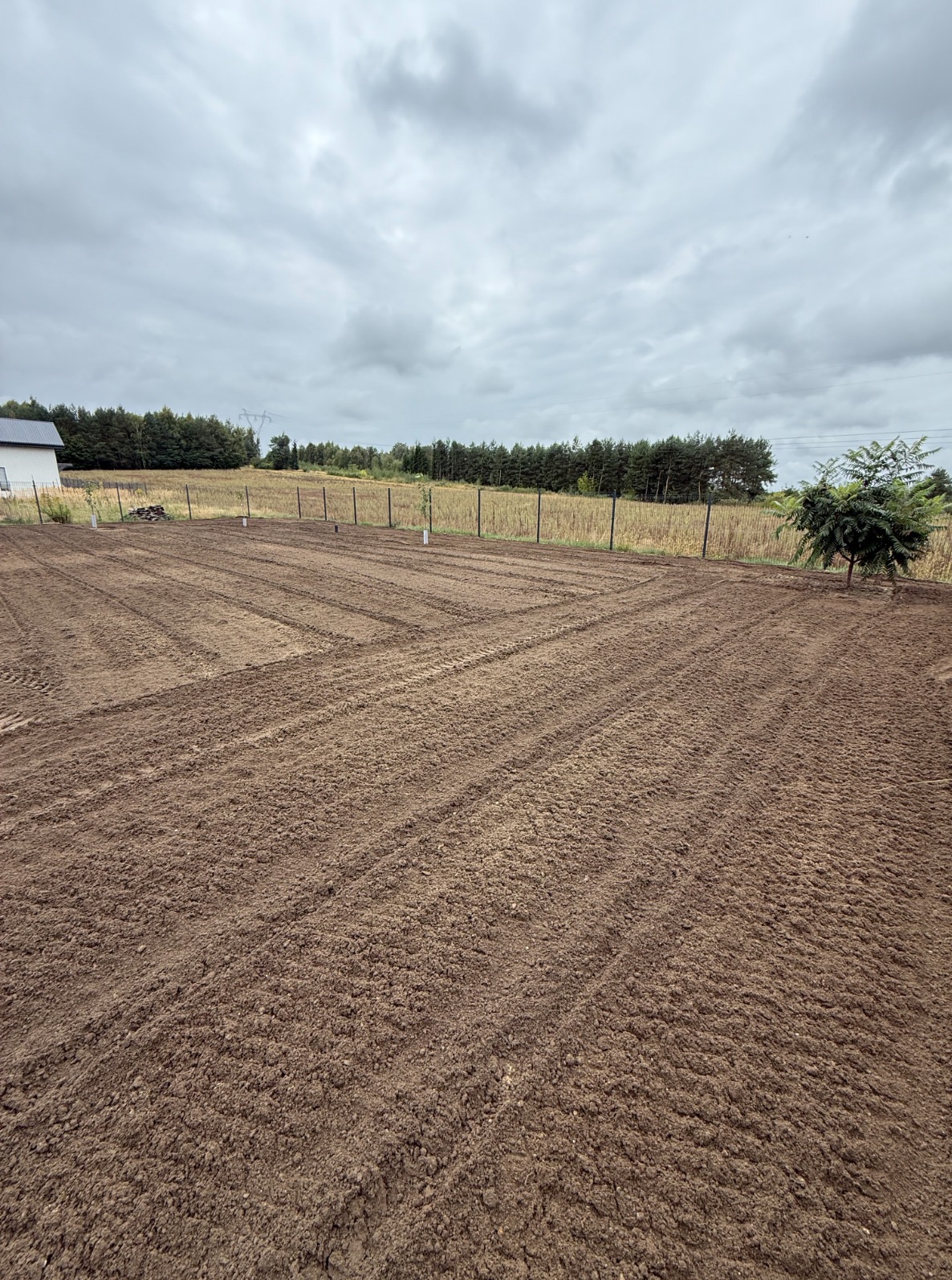 Przygotowany teren pod przyszły ogród z młodymi drzewkami wzdłuż ogrodzenia z siatki. Widoczne ślady po maszynach rolniczych na ziemi.