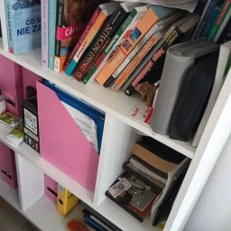 Sylwia Chwałowska - Półka regału z książkami, dokumentami i drobnymi przedmiotami w nieładzie. Widoczne segregatory, książki o różnej tematyce i przedmioty codziennego użytku.