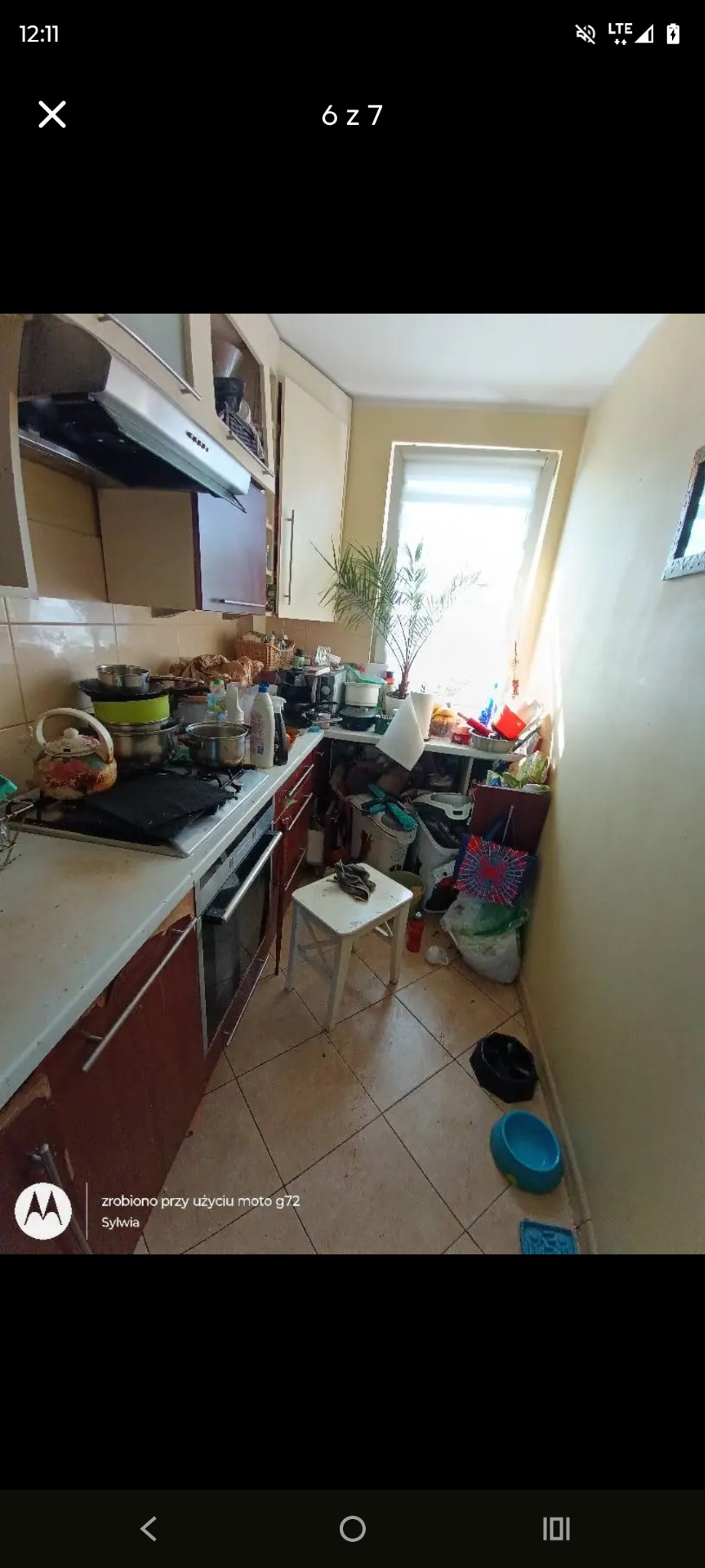 Zaniedbana kuchnia z widocznym bałaganem na blacie, zlewie i podłodze. Naczynia, garnki, środki czystości i inne przedmioty tworzą nieporządek. Widoczne miski dla zwierząt.