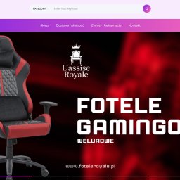 Tworzenie stron internetowych Toruń 4