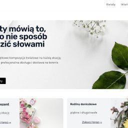 Tworzenie stron internetowych Toruń 1