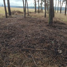 GROVIL - Leśna polana po wycince, pokryta gałęziami i resztkami drzew, z widocznymi pniami sosen i łąką w tle. Zdjęcie z napisem 'PO' sugeruje efekt końcowy.