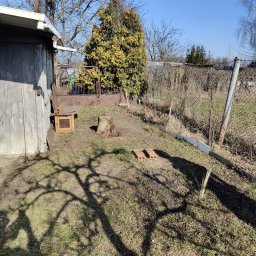 GROVIL - Zarośnięty ogród z drewnianą budką, pniem po ściętym drzewie i fragmentami cegieł. Widoczne chwasty i zaniedbana trawa. Zdjęcie zrobione w słoneczny dzień.