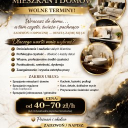 Sprzątanie mieszkań Poznań 1