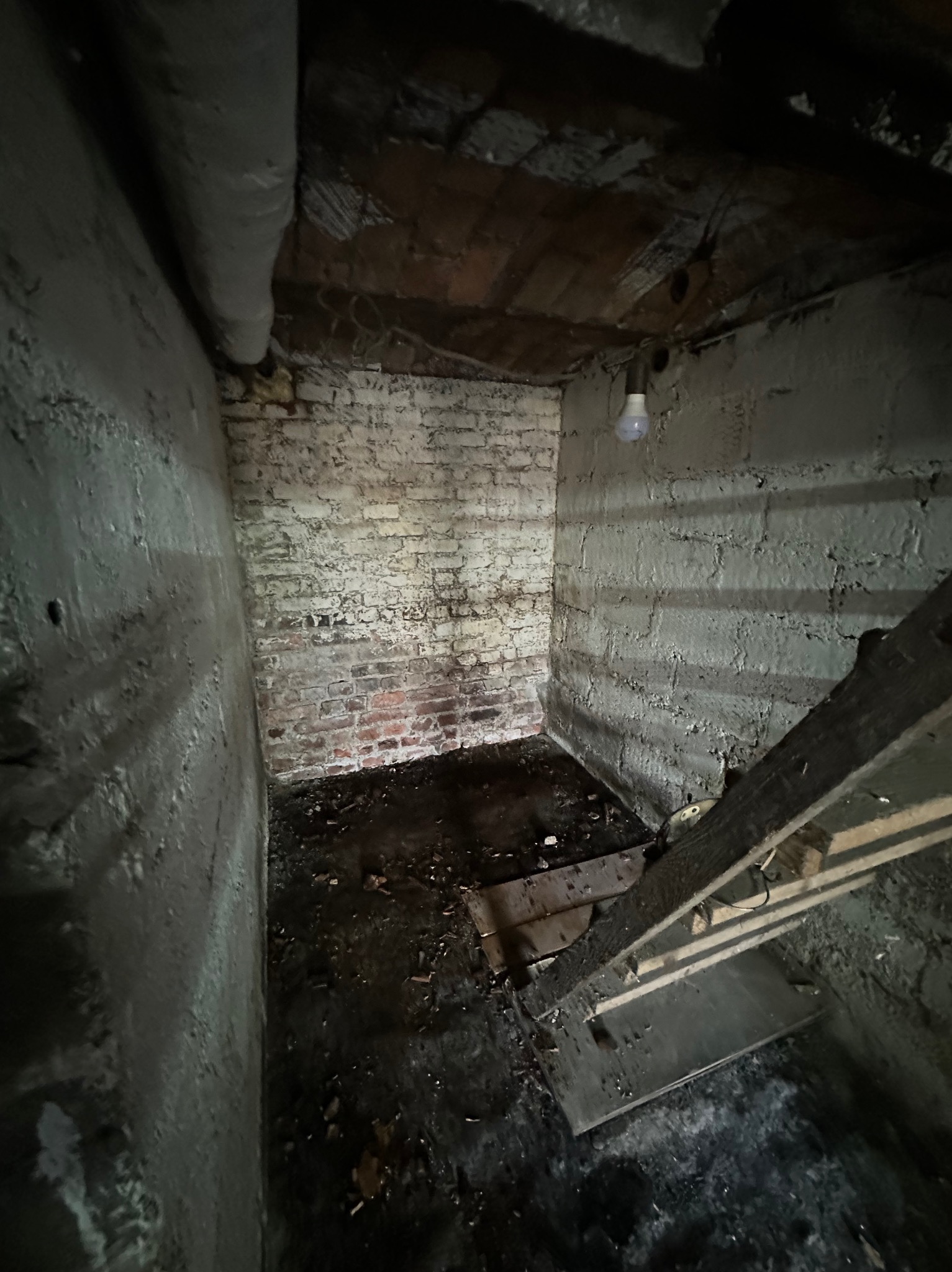 Zaniedbane wnętrze piwnicy z ceglanymi ścianami, resztkami gruzu i wiszącą żarówką. Widoczne ślady wilgoci i zniszczeń. Fragment drewnianej konstrukcji na podłodze.