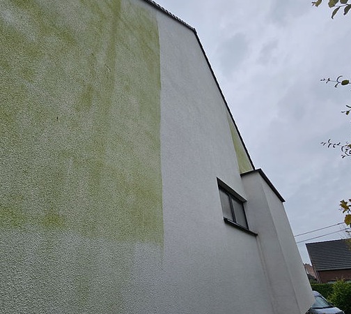 Częściowo umyta, biała elewacja domu z widocznym zielonym nalotem. Ukazany efekt czyszczenia elewacji, kontrast między czystą a zabrudzoną powierzchnią.