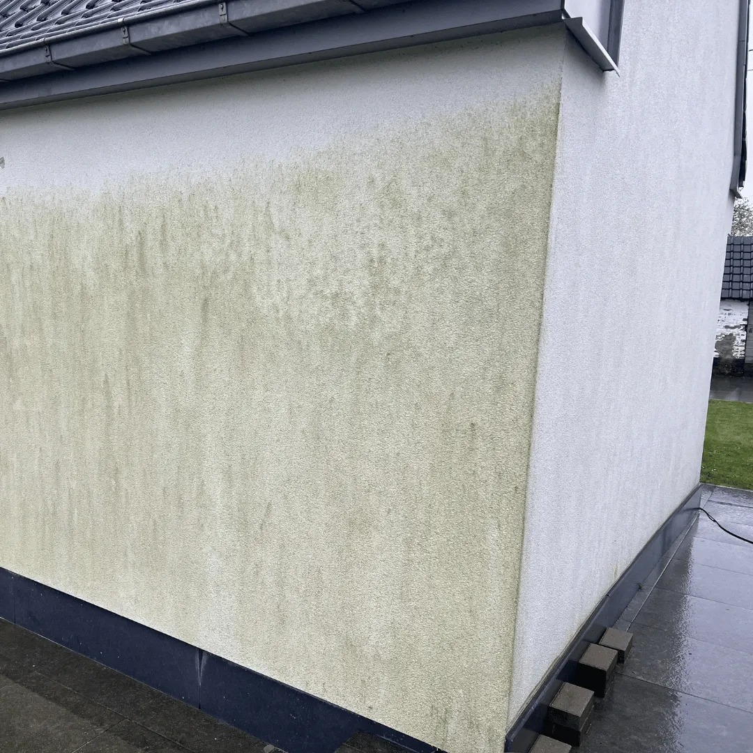 Fragment elewacji budynku z widocznym zabrudzeniem biologicznym, prawdopodobnie przed czyszczeniem. Szara kostka brukowa u podstawy ściany.