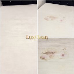 LuxClean - 