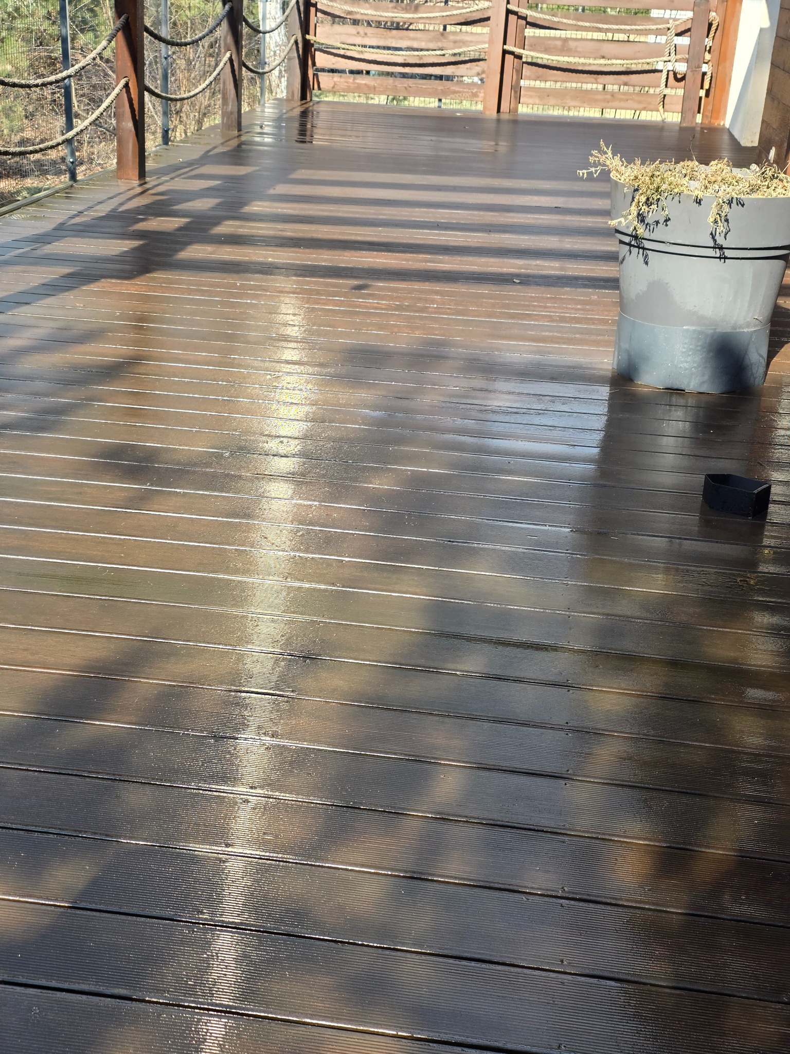 Mokra, ciemnobrązowa deska tarasowa po umyciu, z widocznym odbiciem światła i donicą z uschniętymi roślinami w tle. Świeżo umyta powierzchnia.