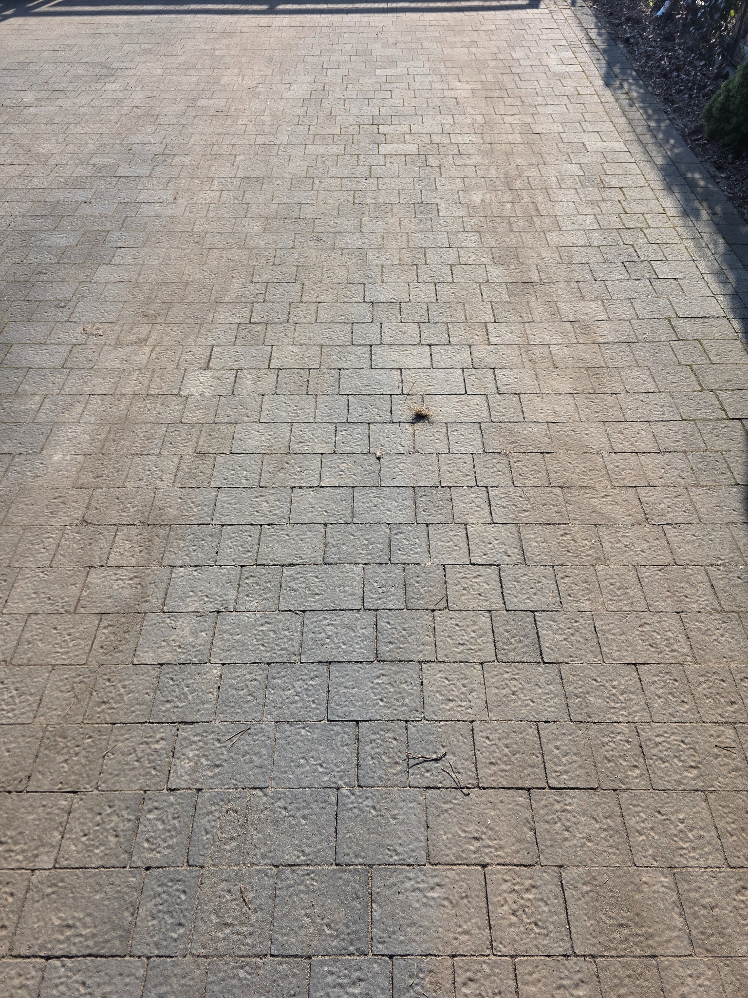 Szara kostka brukowa ułożona w regularny wzór, widoczna z perspektywy. Na powierzchni leżą pojedyncze igły sosnowe. Częściowo zacieniona, zarys roślinności w tle.