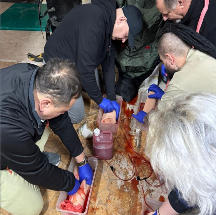 Grupa osób w niebieskich rękawiczkach ćwiczy udzielanie pierwszej pomocy na manekinach z widoczną symulacją krwi, podczas kursu.