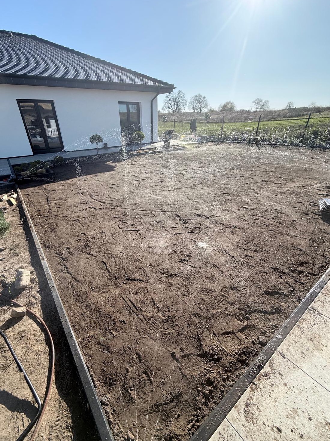 Przygotowany teren pod trawnik z widocznymi zraszaczami w trakcie nawadniania. W tle dom z ciemną stolarką okienną i zadbana zieleń.