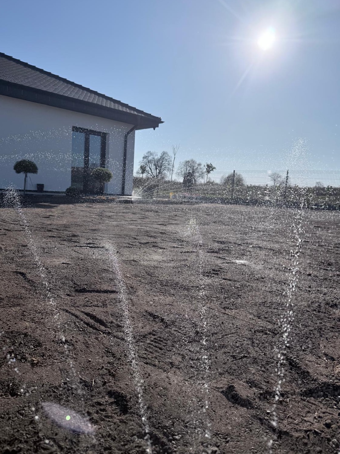 Automatyczne nawadnianie w nowo założonym ogrodzie. W tle biały dom z ciemnym dachem i drzewa. Woda tryska z dysz na przygotowaną glebę w słoneczny dzień.