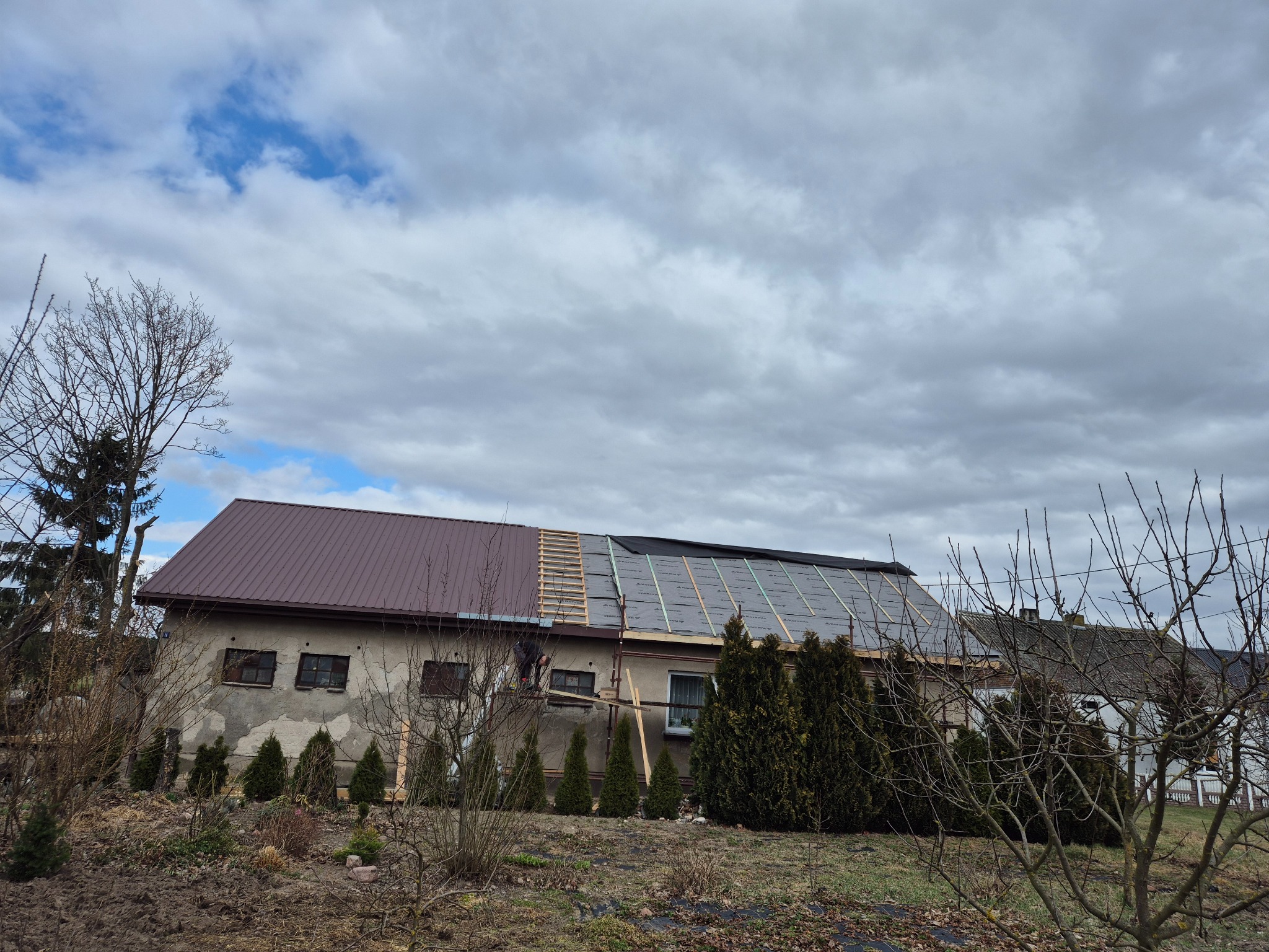 Częściowo pokryty dach budynku z brązową blachą i membraną dachową. Widoczne rusztowania i drzewa bez liści na pierwszym planie. Pochmurne niebo w tle.