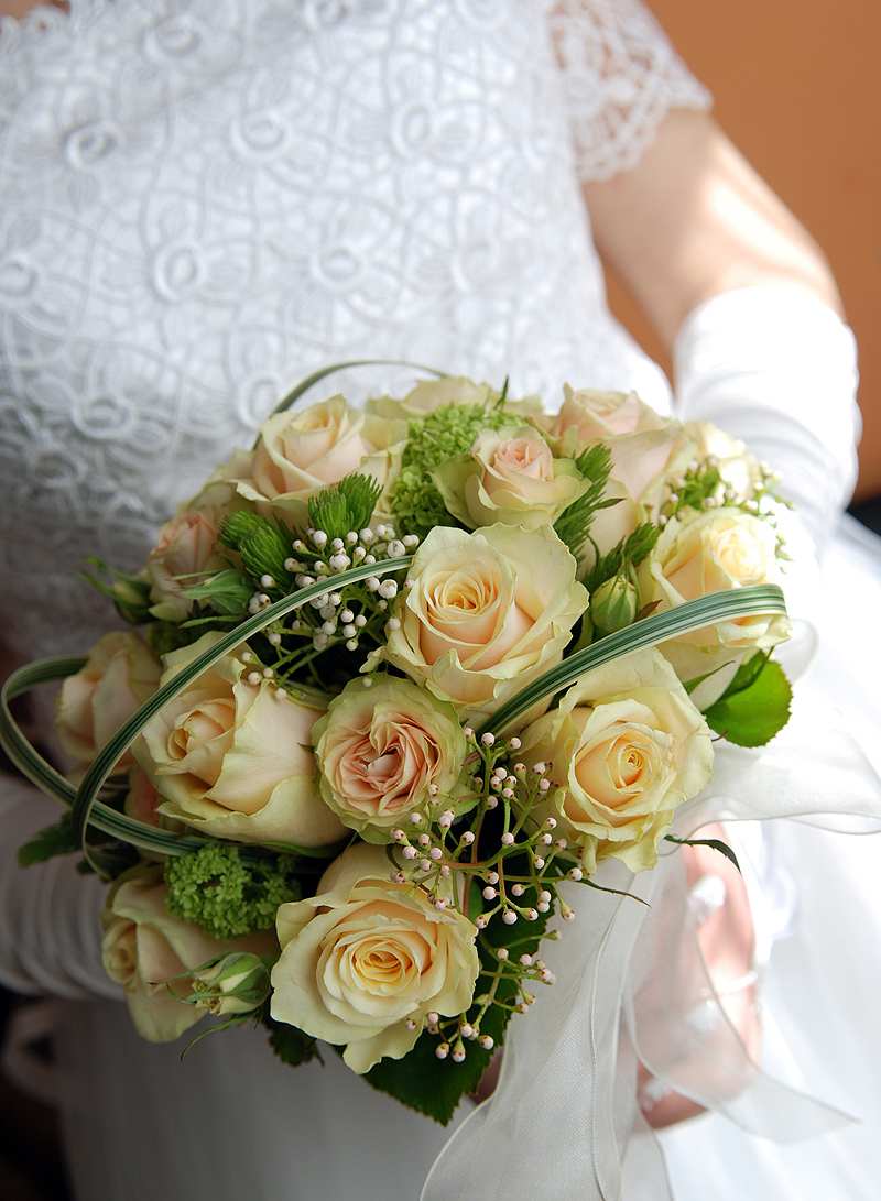 Multistudio Patryk Ślązak