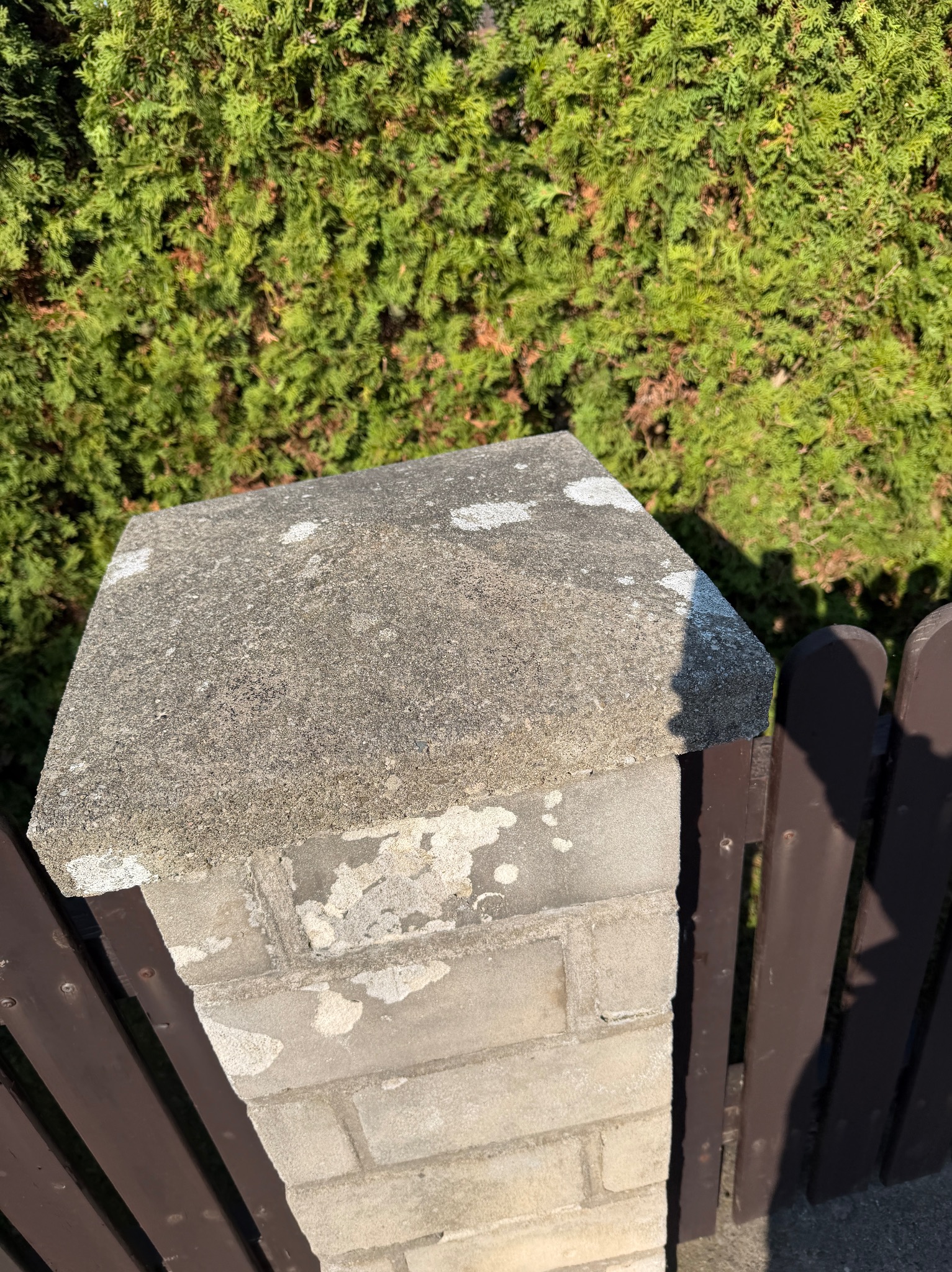 Zakamieniony murek z cegły i betonu, obok drewnianego płotu, na tle zielonego żywopłotu. Widoczne ślady zabrudzeń i wykwitów na powierzchni muru.