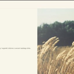 Pascal Nowik-Bołtyk - Strona internetowa piekarni z hasłem 'Tu pachnie domem' i zdjęciem pola pszenicy w tle. Przycisk 'Zamów online' zachęca do zakupu świeżego pieczywa.