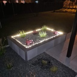 Usługi Elektryczne Maksymilian Lis - Podświetlona rabata z roślinami i kamieniami w ogrodzie nocą. Dekoracyjne oświetlenie LED podkreśla kształt rabaty i dodaje uroku otoczeniu domu.